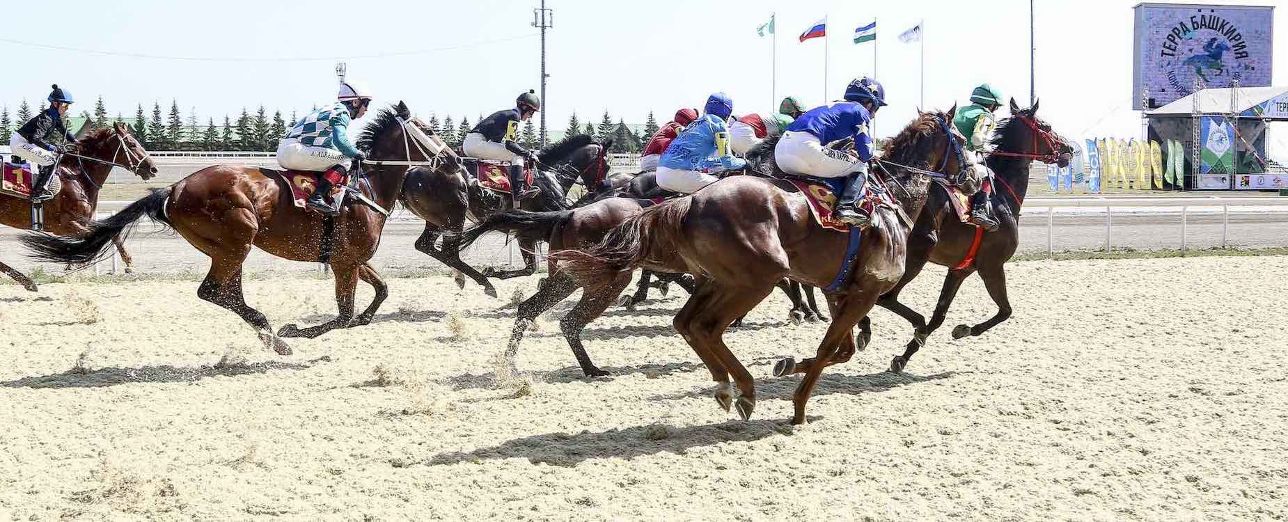 Скаковая дорожка с лошадьми