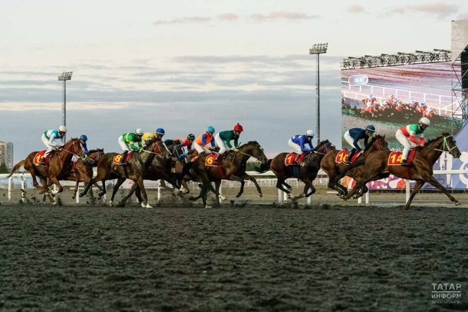 Конноспортивный комплекс Казань